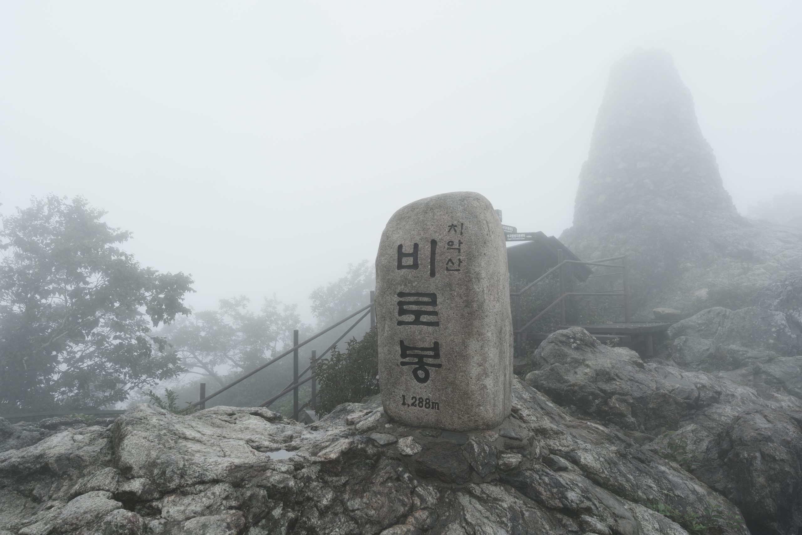 치악산 탐방기: 여름의 초록빛 속으로 🌿